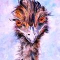 Emu Eyes