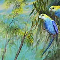 Two pale-faced rosellas