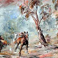 Wild Brumbies