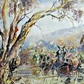 Working Clydesdale pair, Australian landscape.